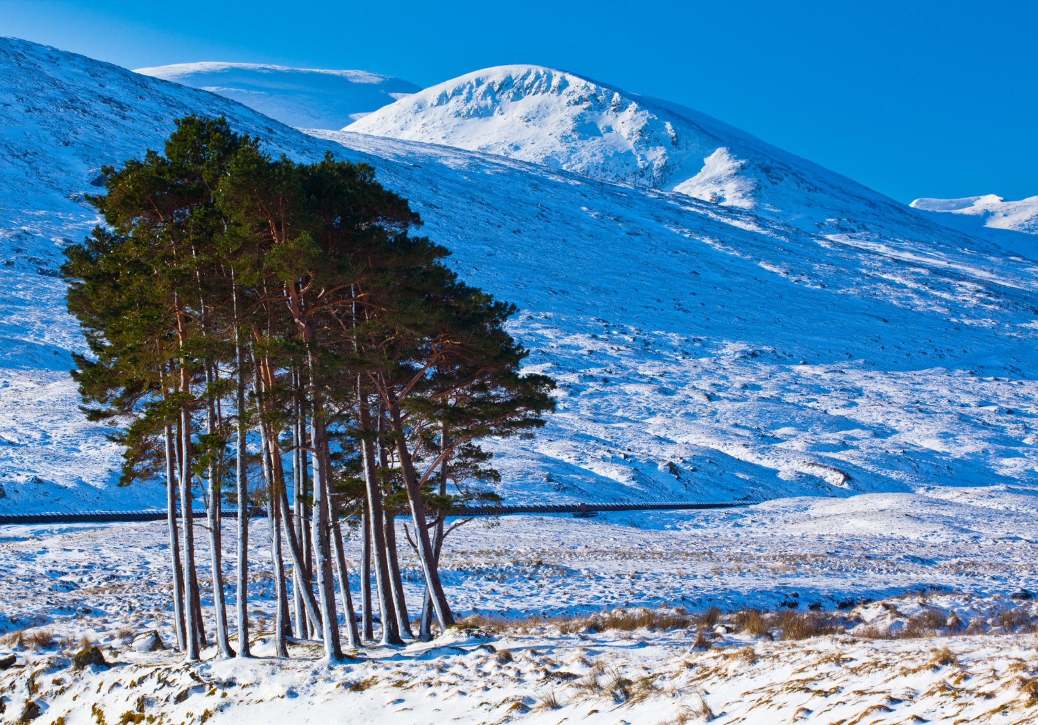 Scotland, Scottish Highlands, Dirrie More.
